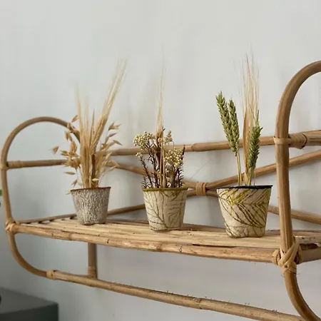 Bougainvillea House, Old Town アパート