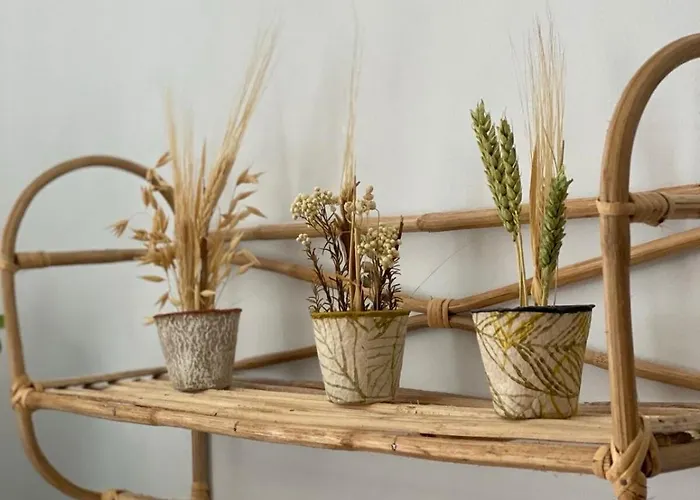 Bougainvillea House, Old Town Lägenhet